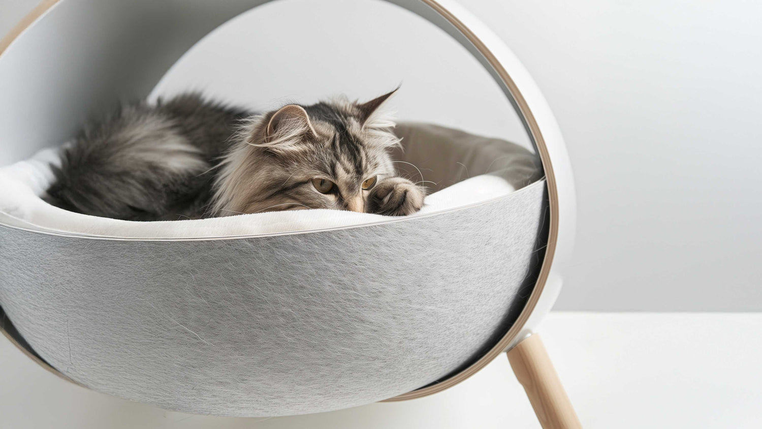 Een kat ligt ontspannen in een moderne kattenmand.