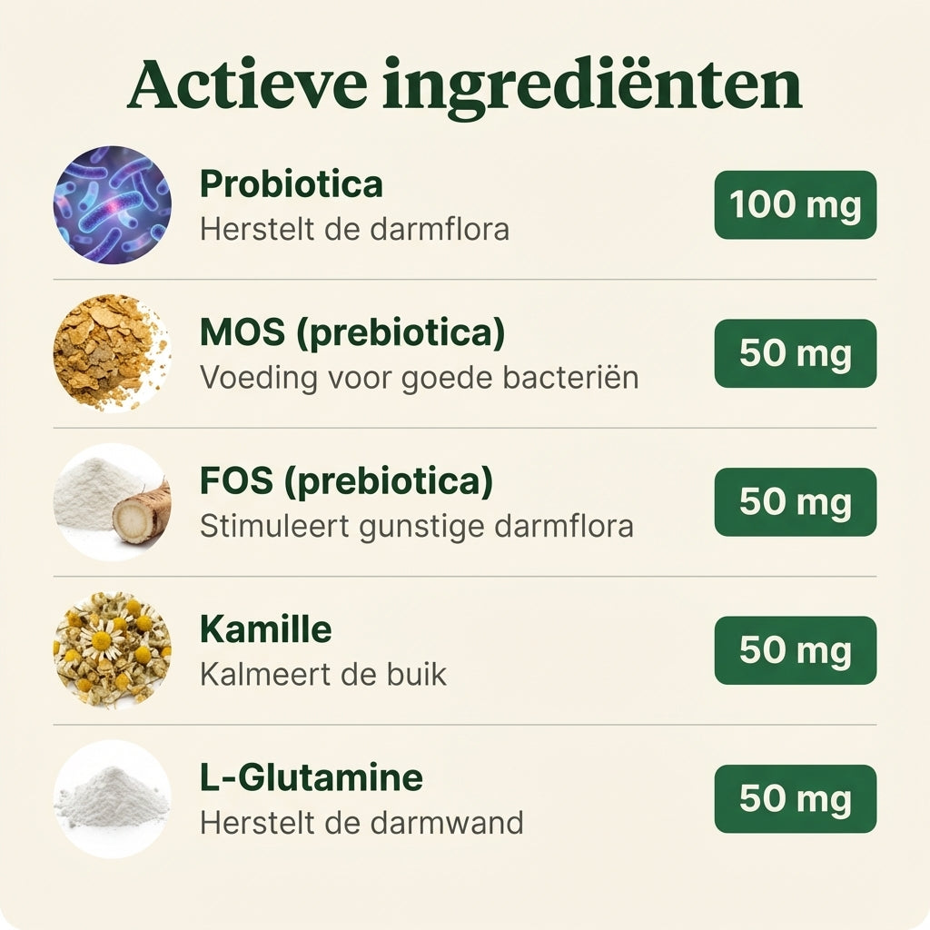 BellyBites Hond | Probiotica & darm support