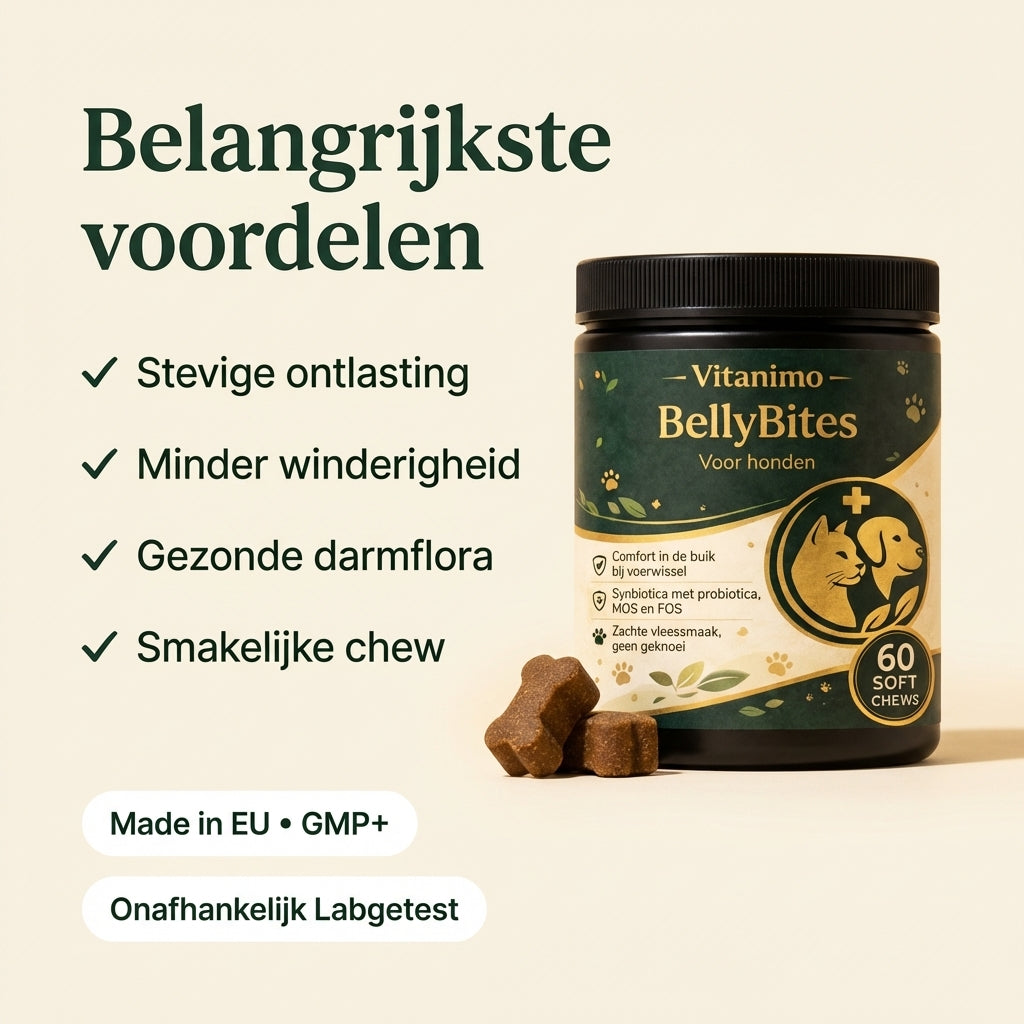 BellyBites Hond | Probiotica & darm support