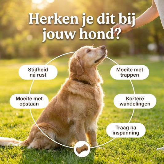 FlexiBites Hond | Voor soepele beweging & herstel na inspanning