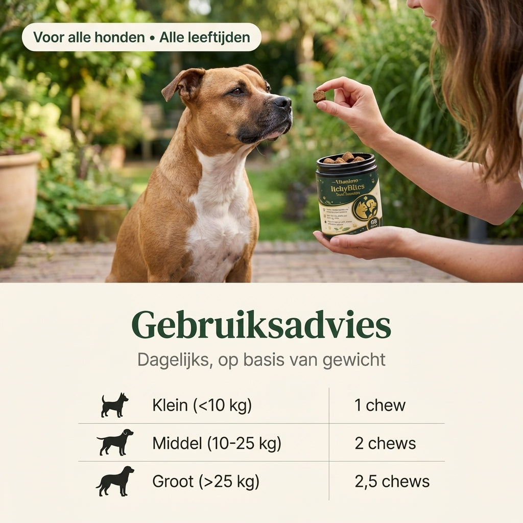 ItchyBites | De nummer 1 tegen kriebels en jeuk