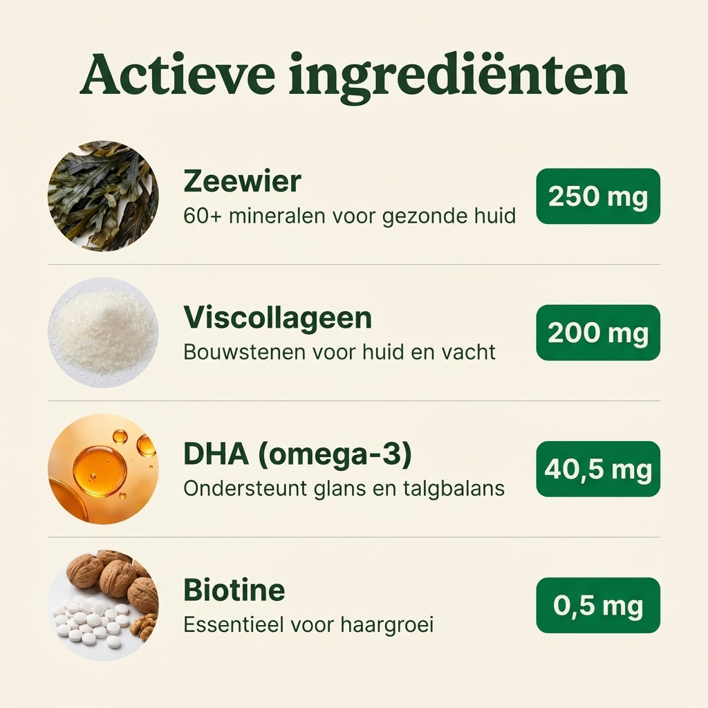 ShineBites Kat | Voor een stralende vacht & gezonde huid